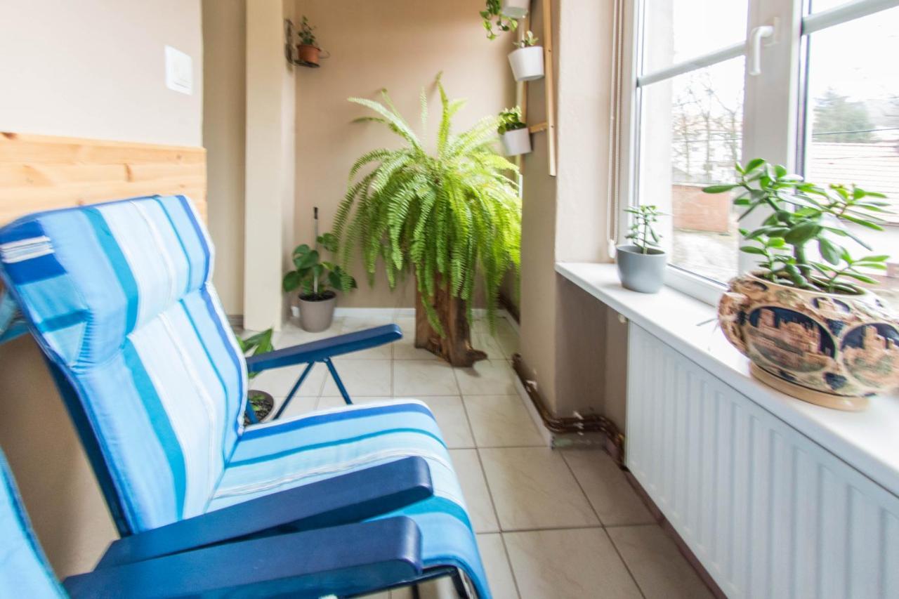 Apartamenty Izerskie - Ul. Wczasowa 8 Swieradow-Zdroj Bagian luar foto